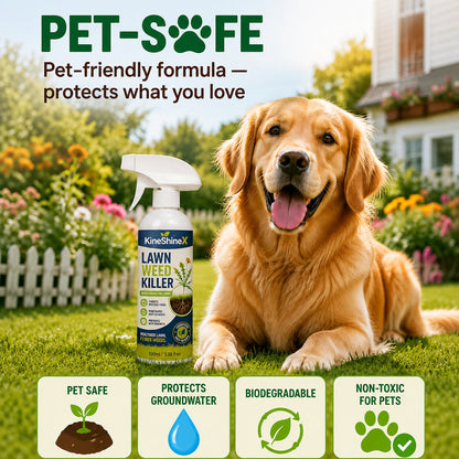 Weed Killer Spray