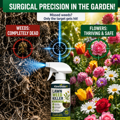 Weed Killer Spray